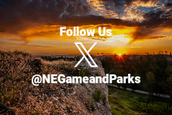 Follow us on Twitter